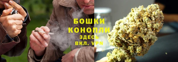 стаф Сосновка