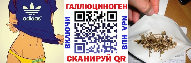 Галлюциногенные грибы Psilocybe  как найти наркотики  Тихвин 