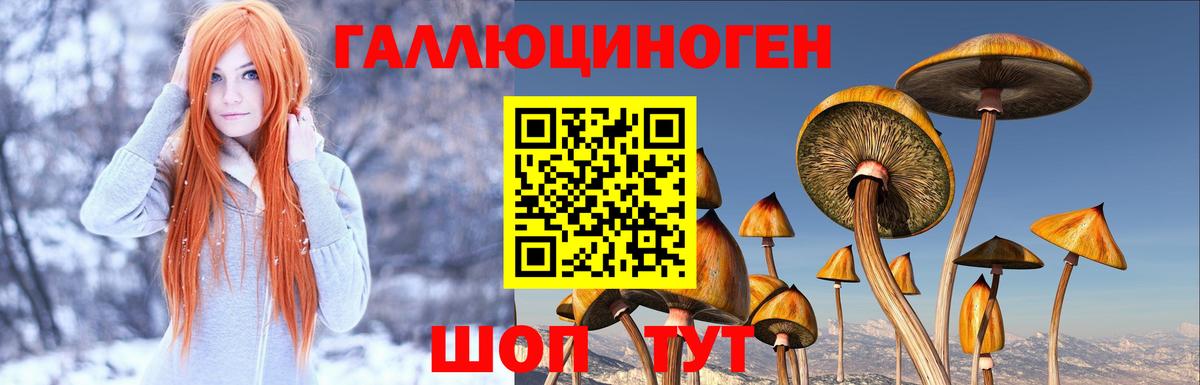 Тихвин  Псилоцибиновые грибы мухоморы  купить  сайты  Вход с VPN 